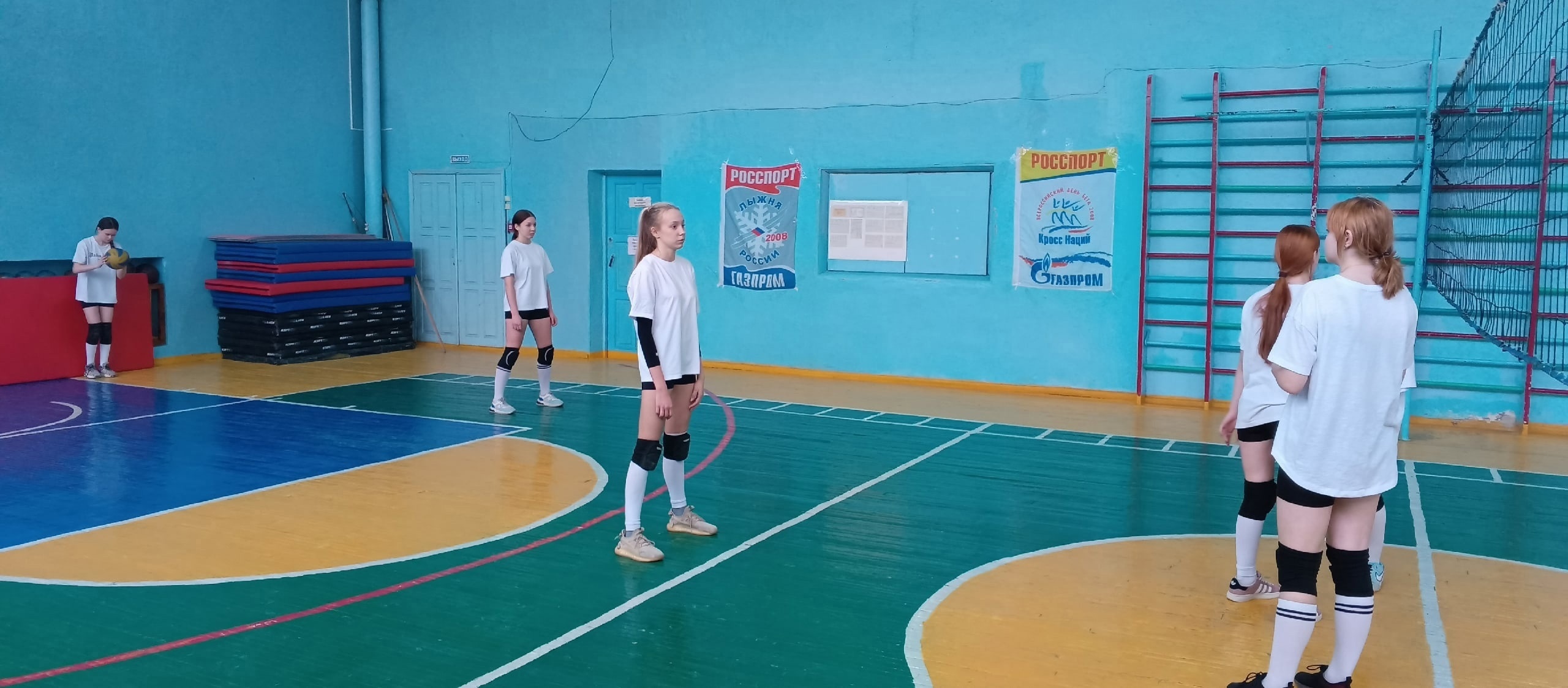 жвол (1)