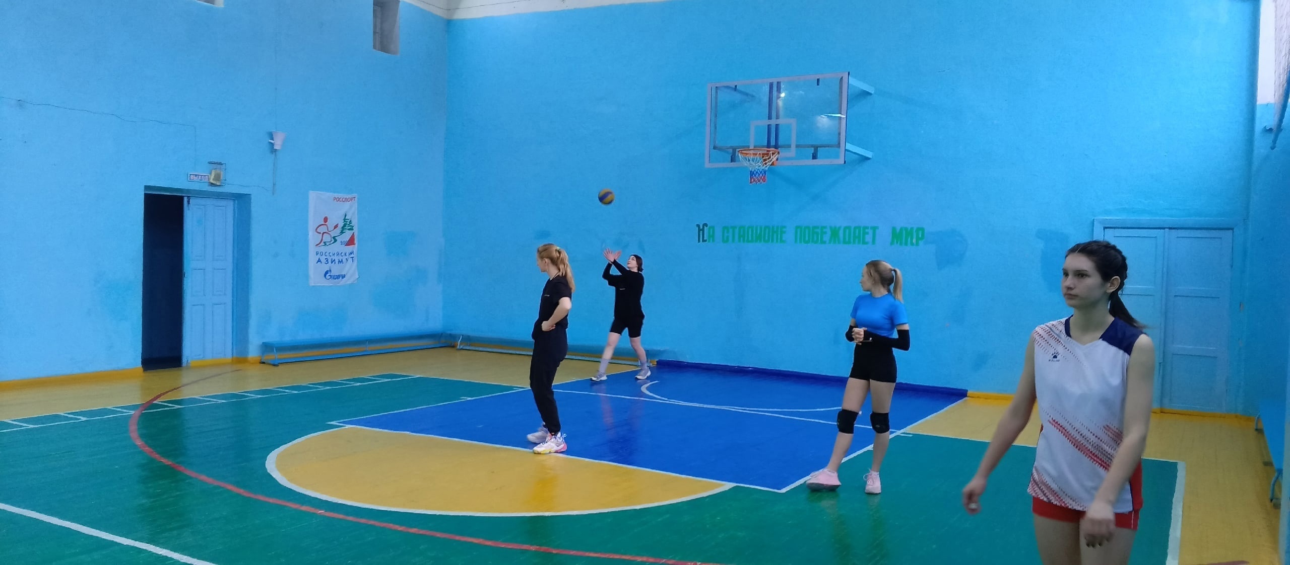 жвол (4)