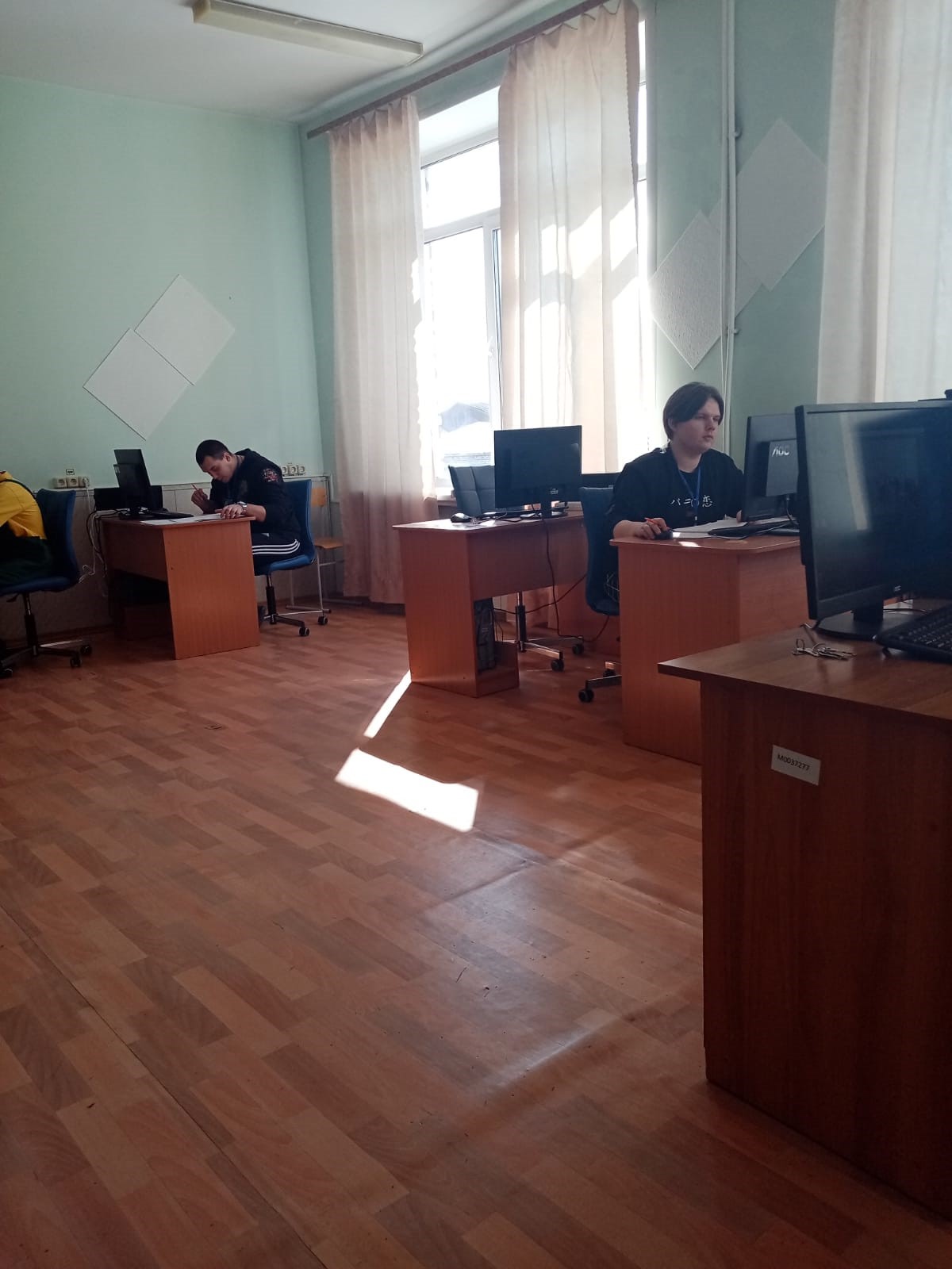 мсх (3)