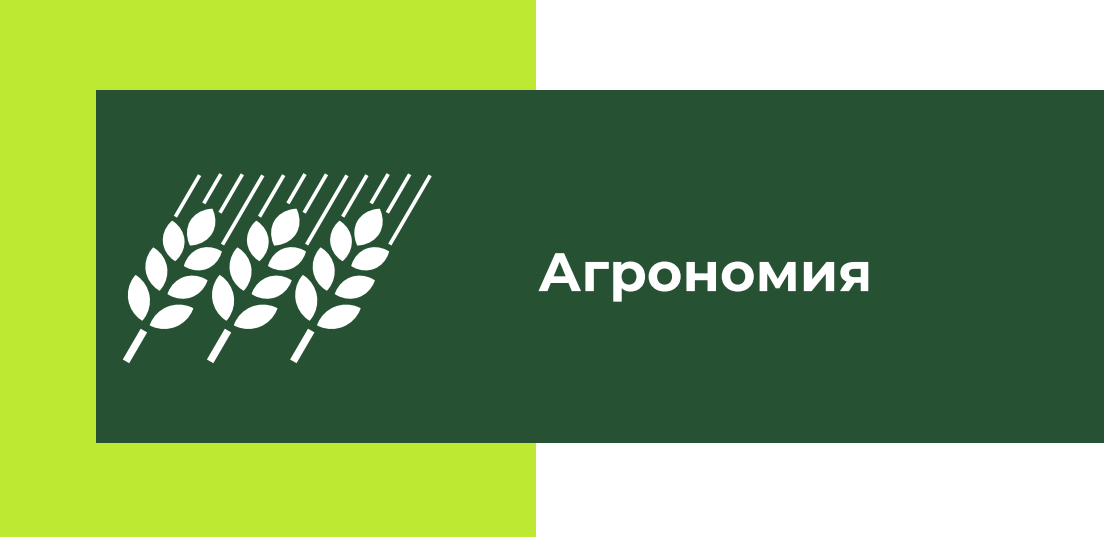 Поварское дело